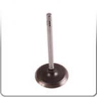 Exhaust Valves & Guides (18)