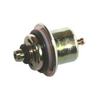 Fuel Pressure Regulator, 91-95 Jeep Wrangler (YJ)